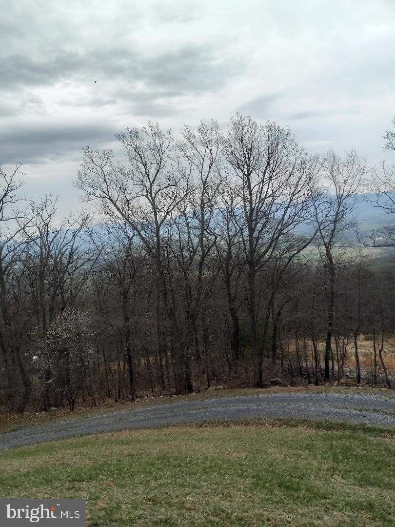 SHENANDOAH FOREST - Residential