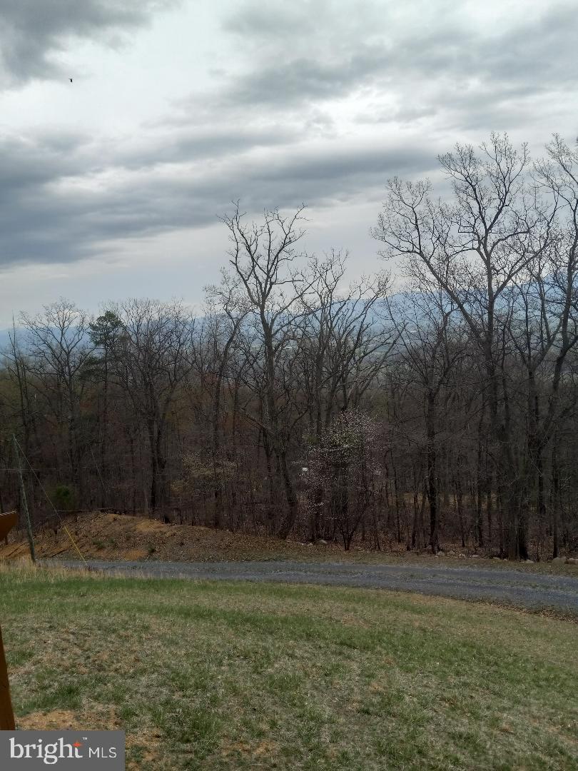 SHENANDOAH FOREST - Residential