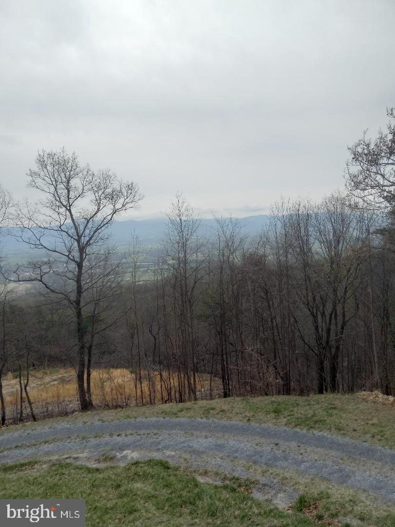 SHENANDOAH FOREST - Residential