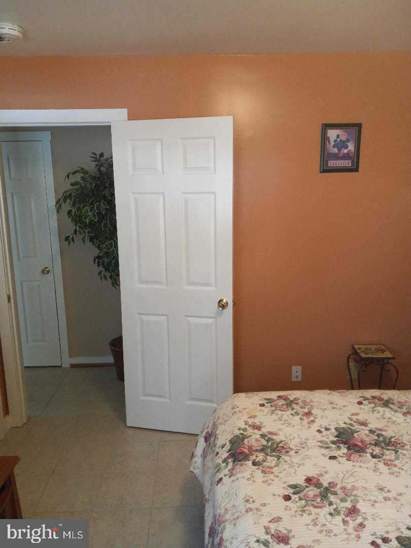 SHENANDOAH FOREST - Residential