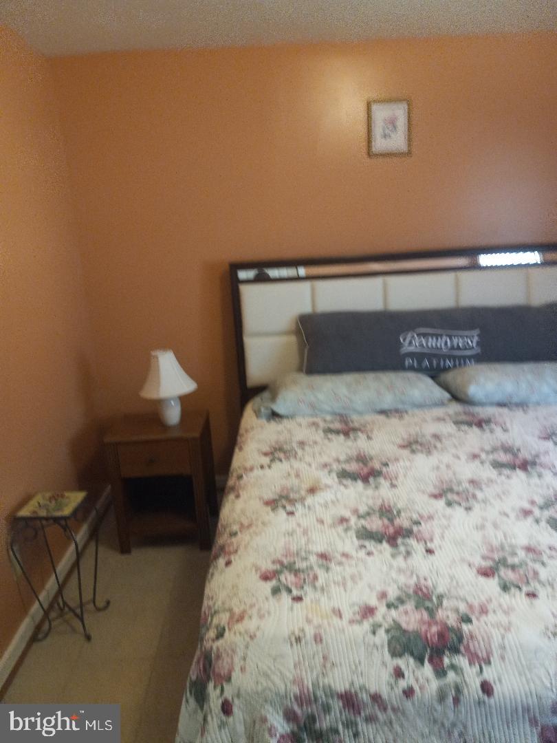 SHENANDOAH FOREST - Residential