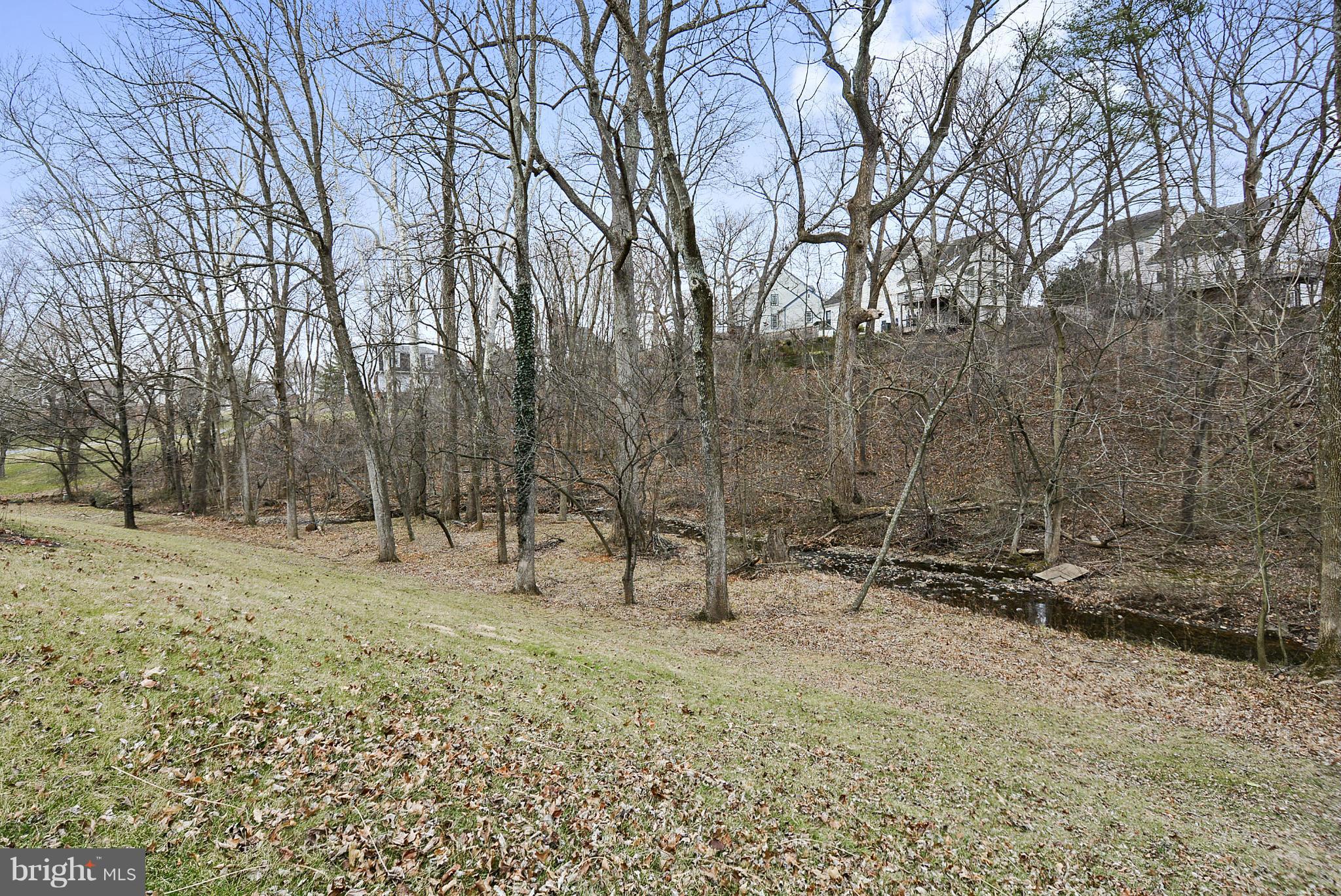 LEESBURG COUNTRY CLUB - Residential