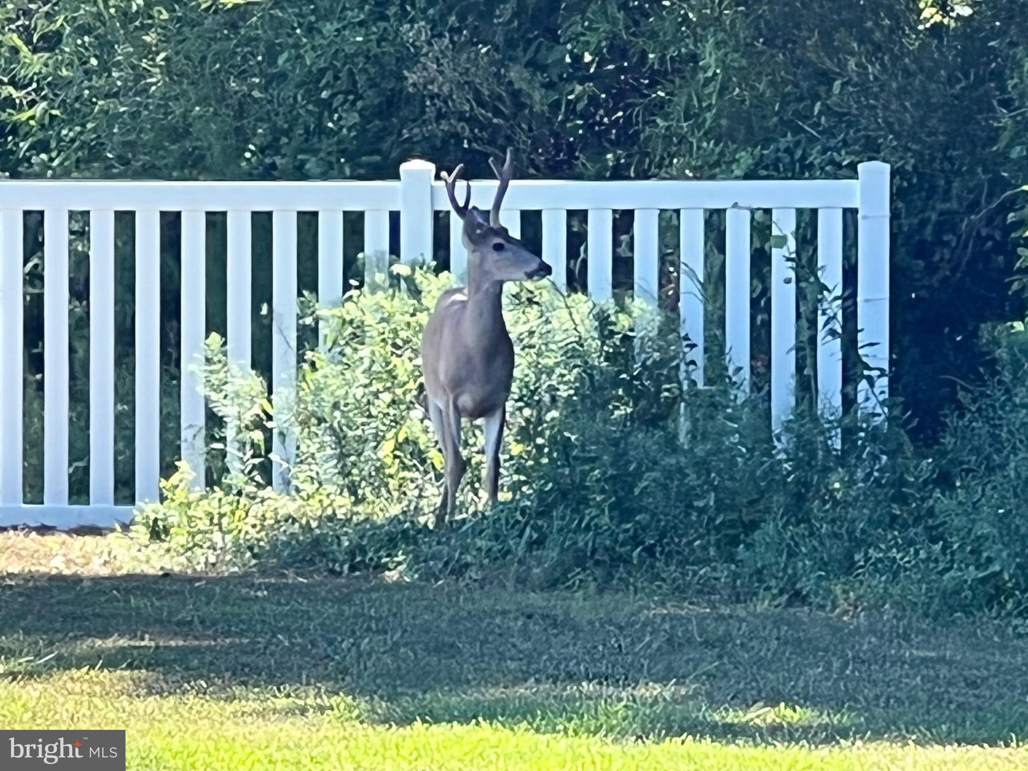 ASSATEAGUE PT RESORT - Residential