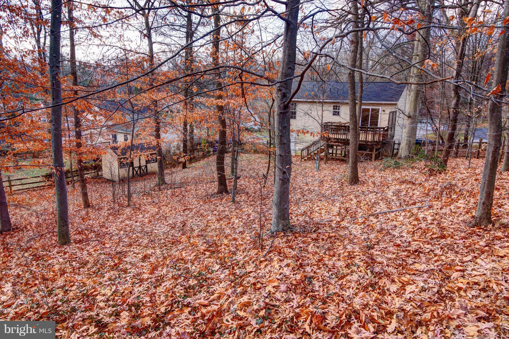 POTOMAC VILLAGE - Residential