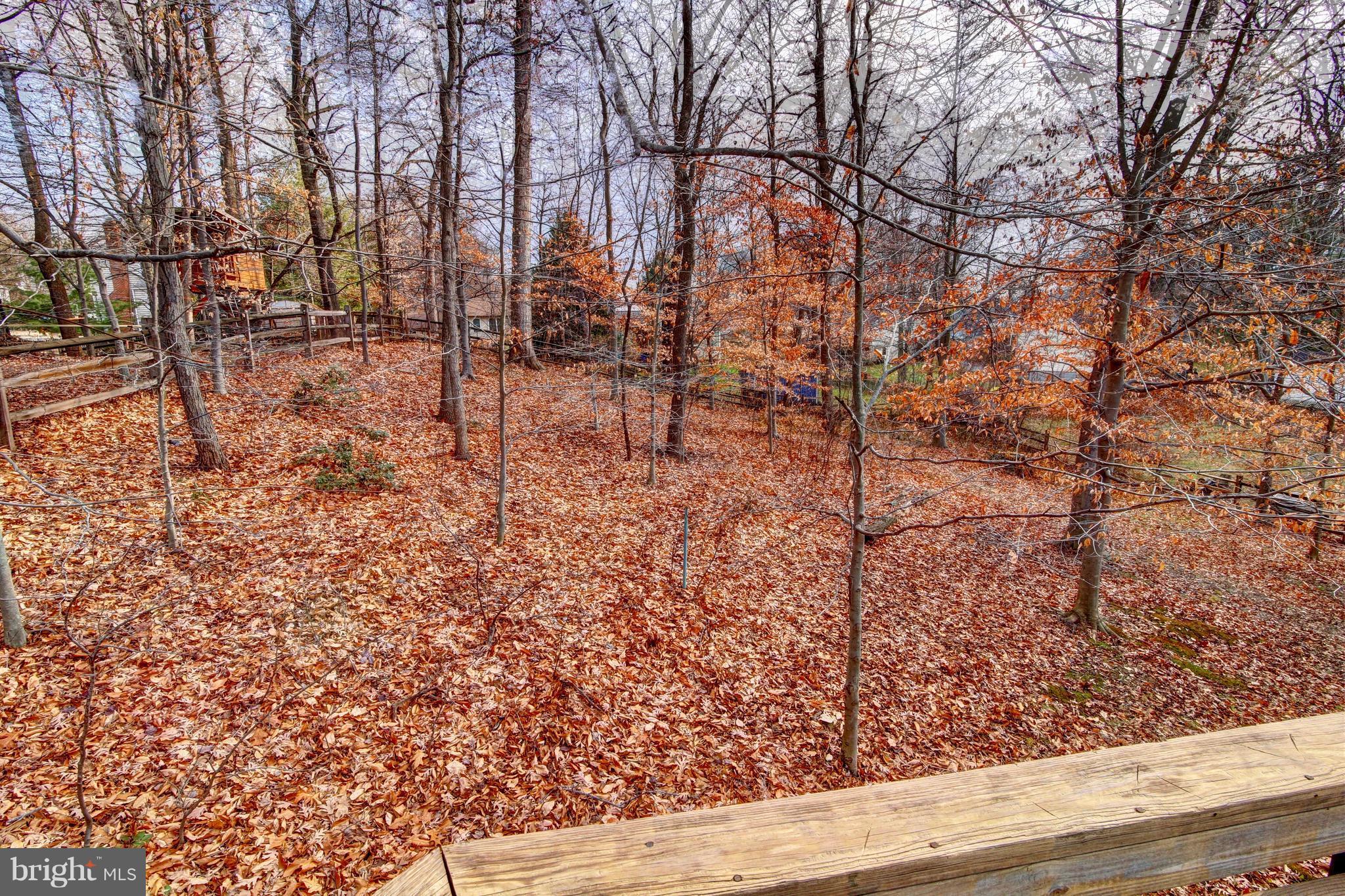 POTOMAC VILLAGE - Residential