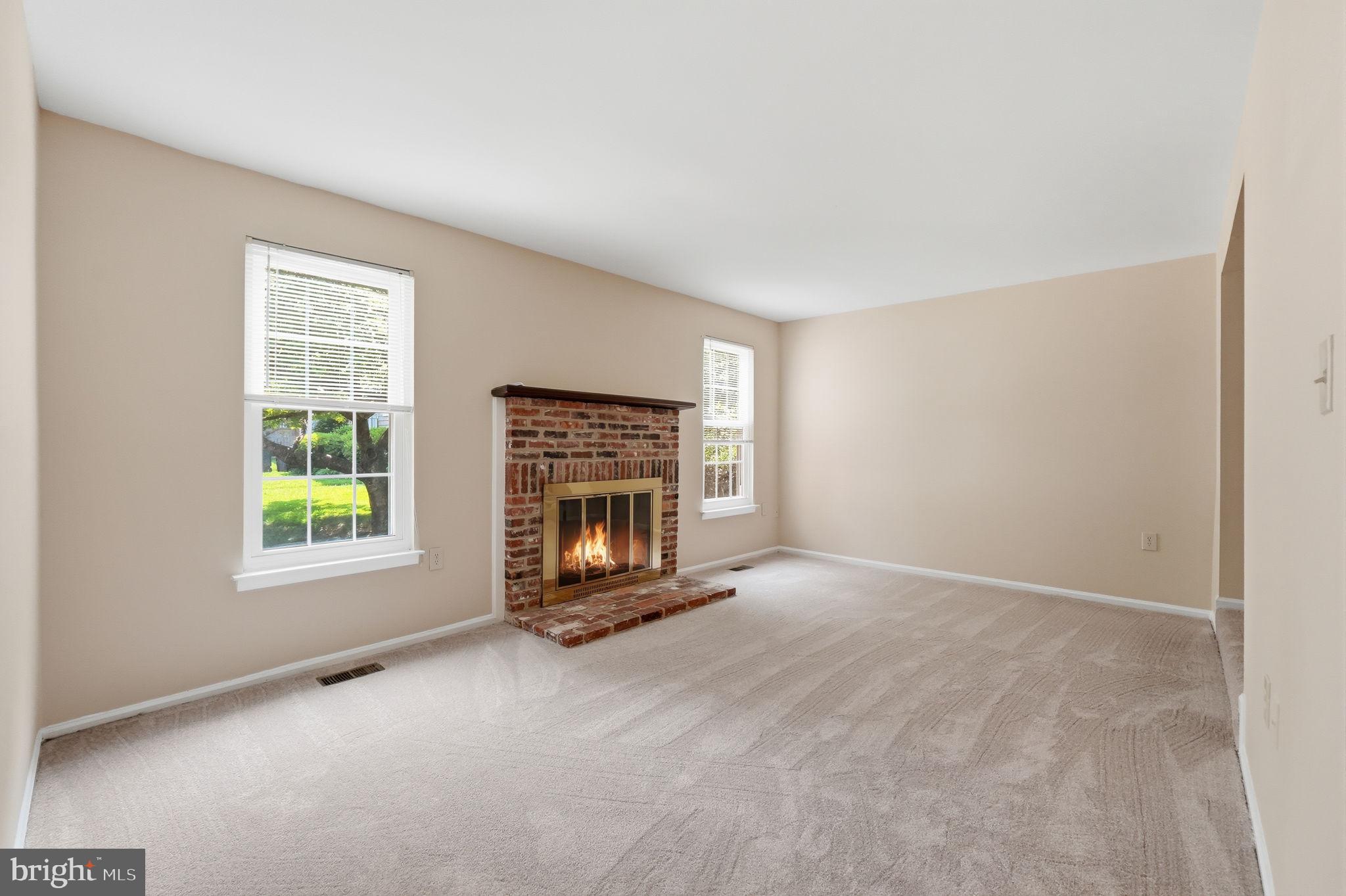 10065 CHESTNUT WOOD LANE