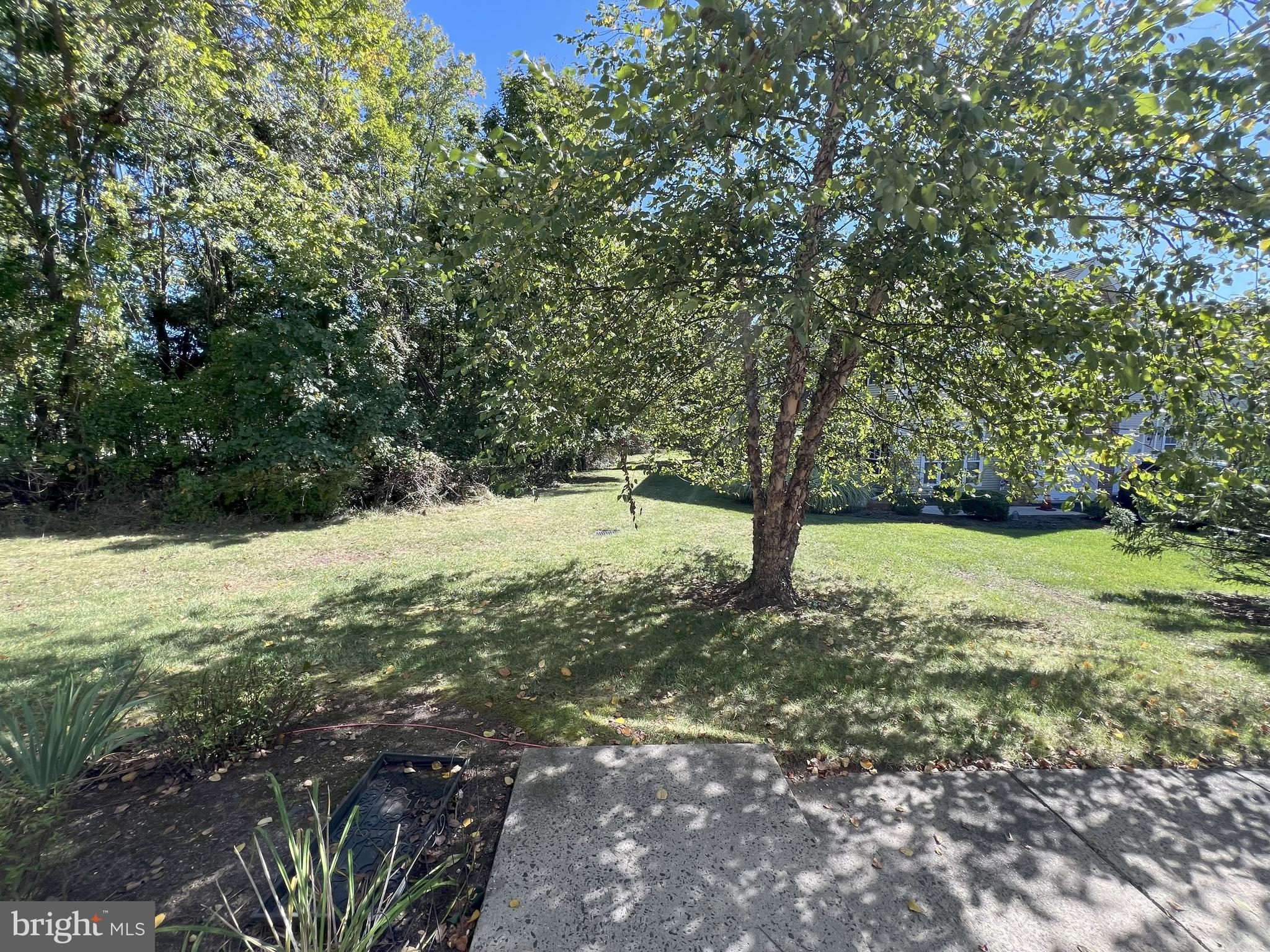 301 PARK KNOLL