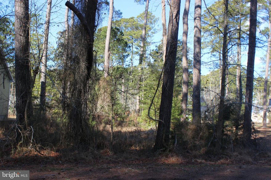 1/1148 Level, wooded lot that overlooks a tidal pond that has water & sewer availability. If you’re into nature this is a perfect spot to watch the deer roam and the Blue Herons feed! A must see to appreciate! Centrally located and within walking distance to the Chincoteague Bay, Marina Center and golf course. No builder tie-in and no time frame to build. HOA amenities: Pristine 9 Hole Golf Course, indoor & outdoor (2) pools, fitness center, basketball, tennis & pickle-ball courts, playground, boat ramp, docks, biking & walking trails, dog park, security and so much more! Call for more details.