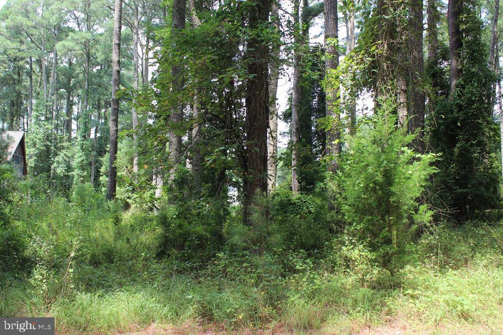 CAPTAIN'S COVE - Land