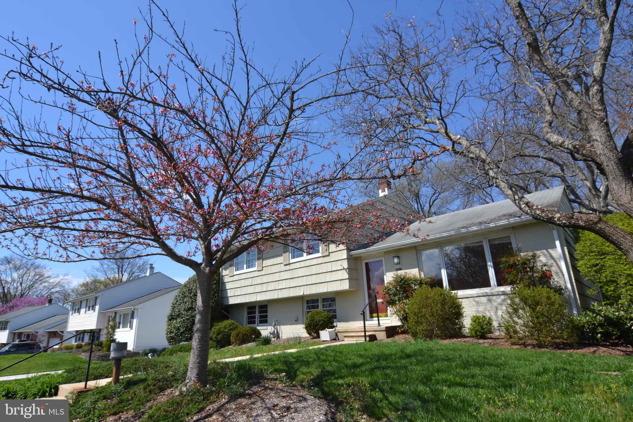 THORNLEIGH - Residential