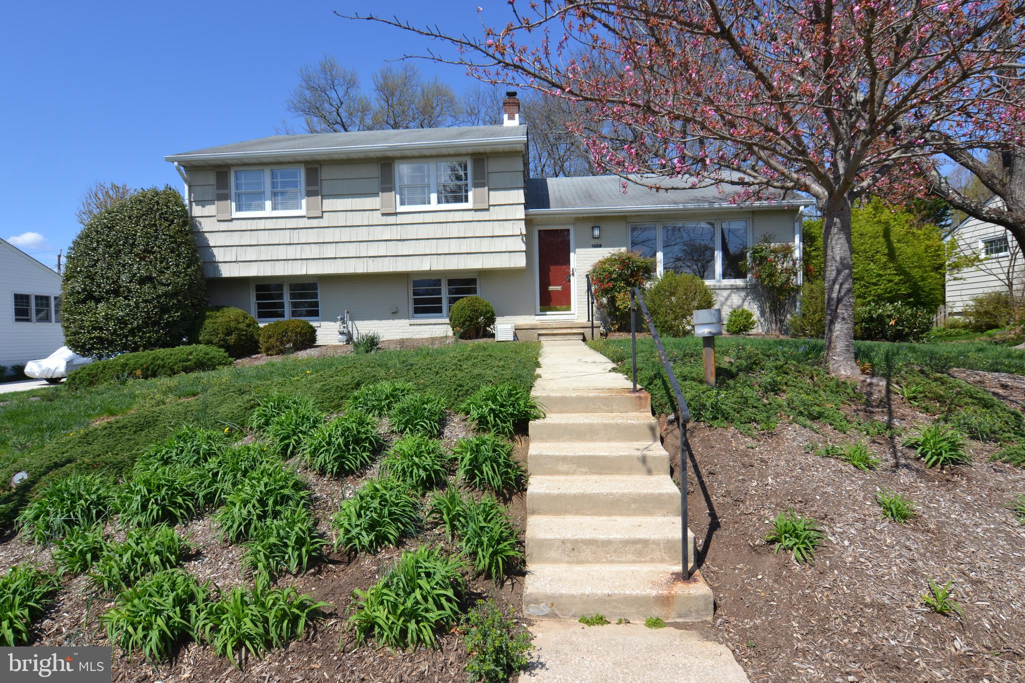 THORNLEIGH - Residential