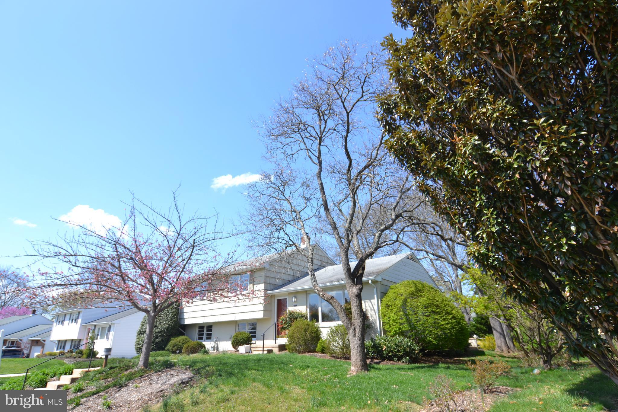 THORNLEIGH - Residential