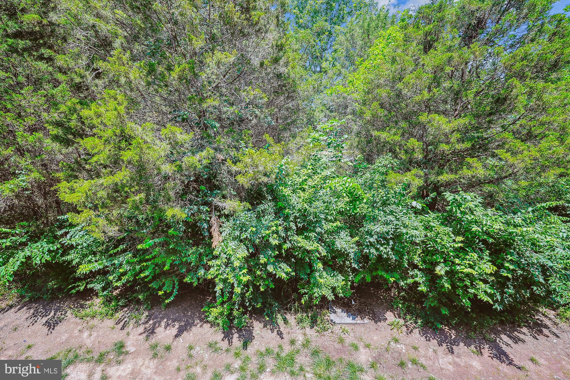 8210 HERITAGE CROSSING COURT