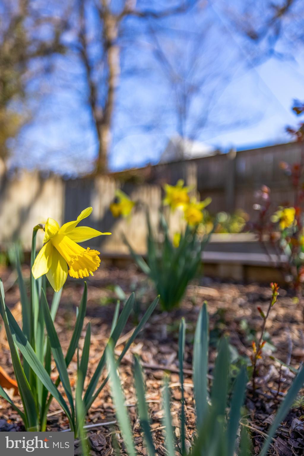 GUILFORD - Residential