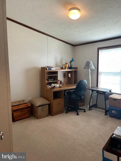 LINCOLN ESTATES - Residential