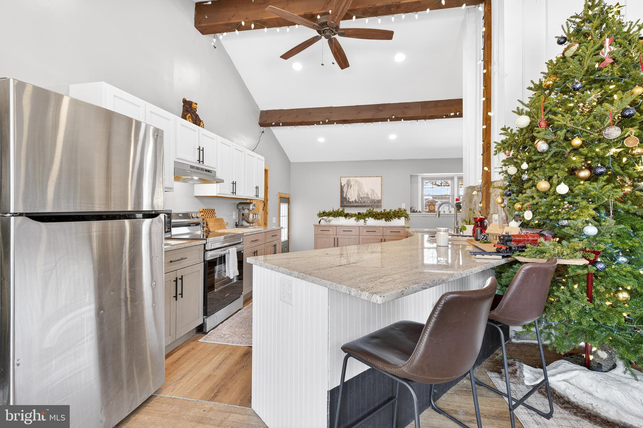 WILLOW STREET - Residential