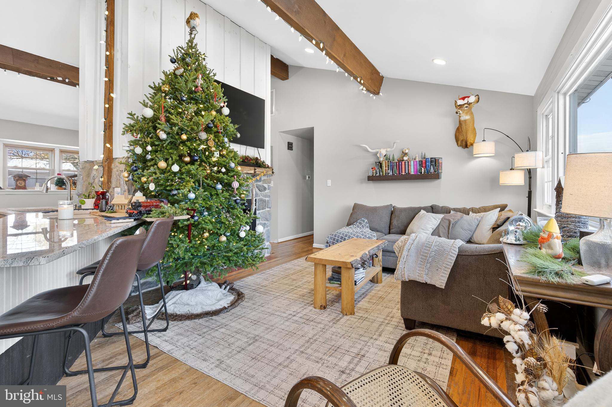 WILLOW STREET - Residential