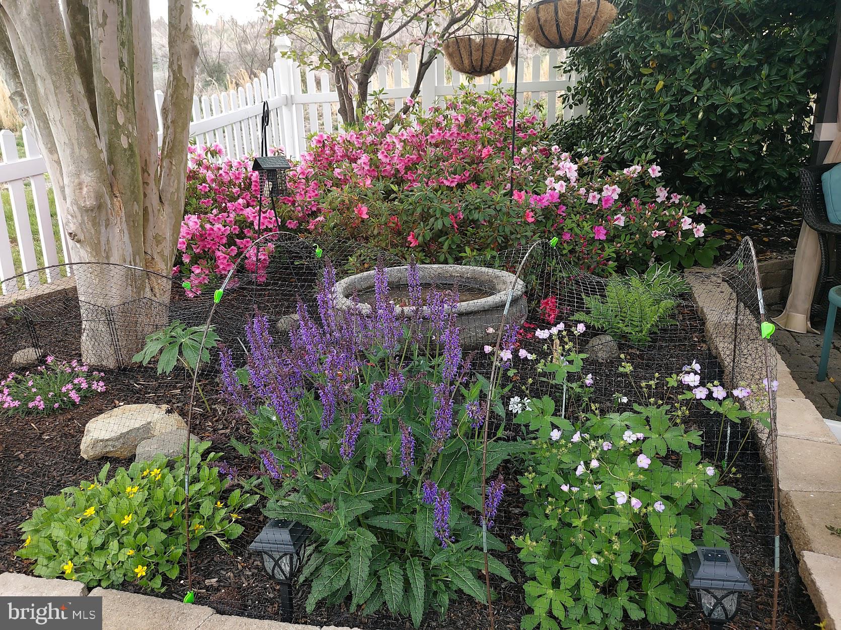 DUNBARTON AT BRAEMAR - Residential