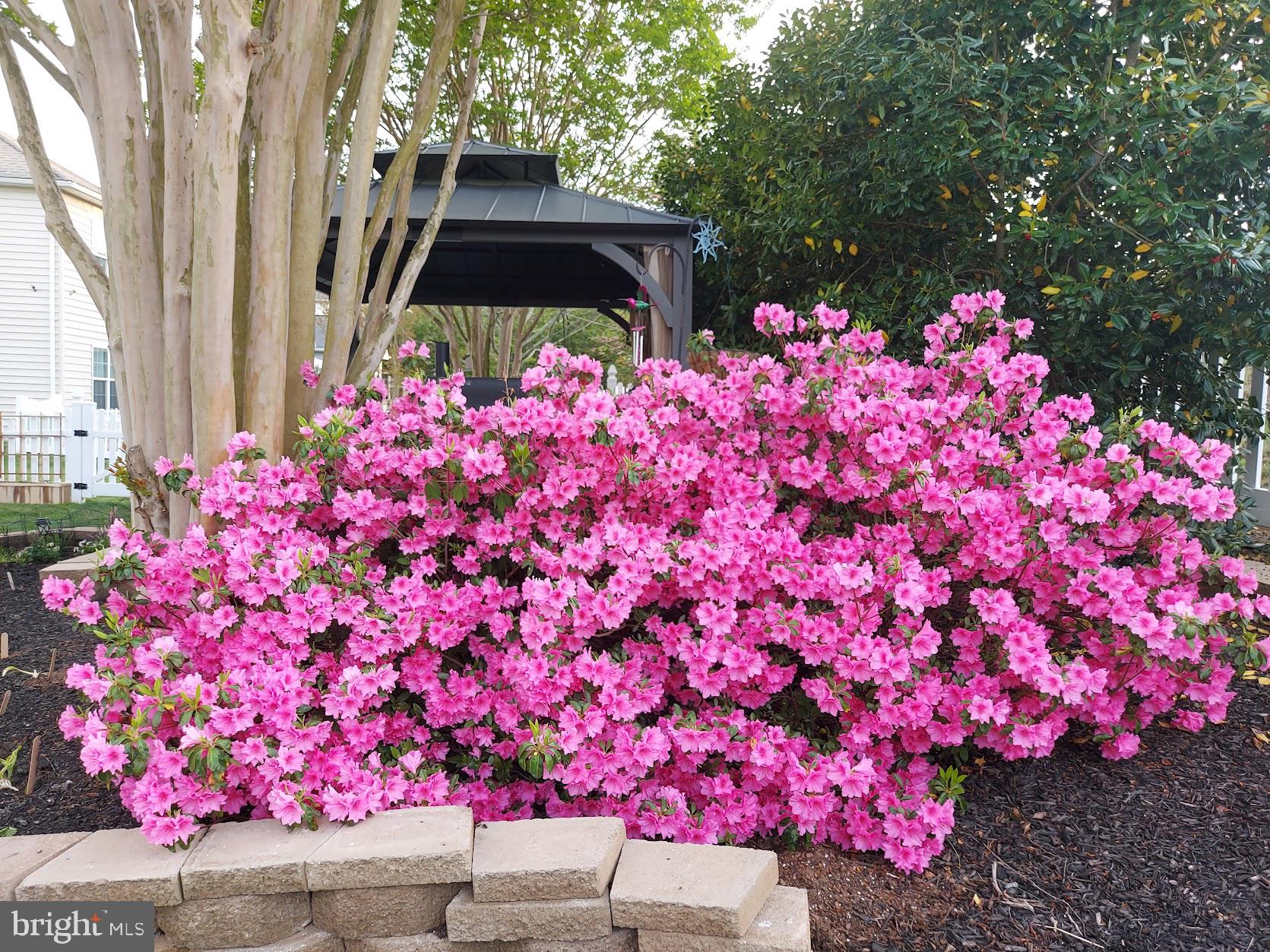 DUNBARTON AT BRAEMAR - Residential