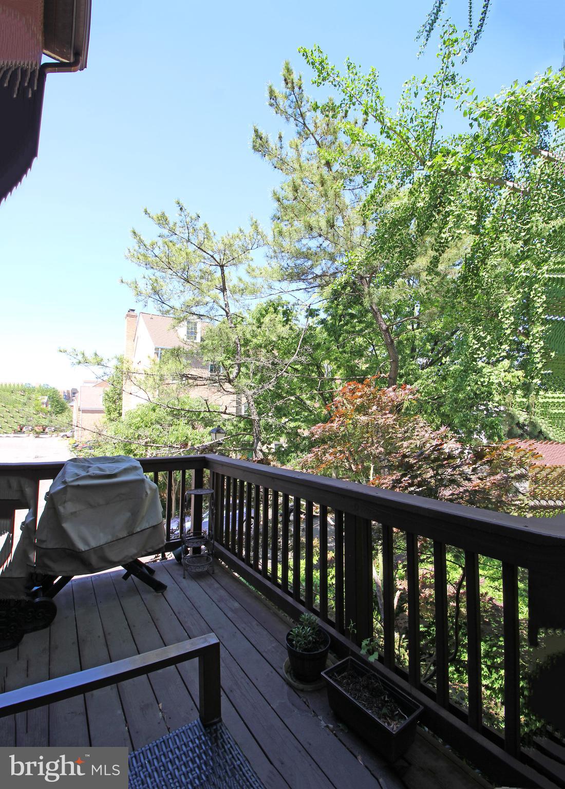 BALLSTON COURT - Residential Lease