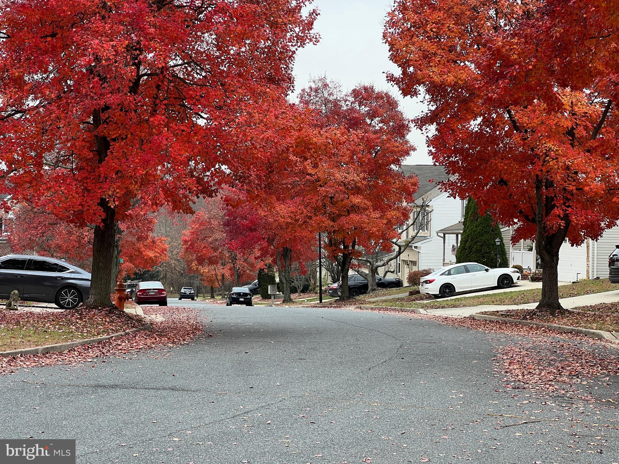 SPRINGHOUSE STATION - Residential
