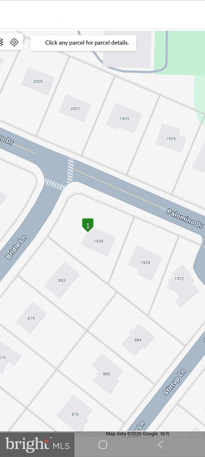 PALOMINO FARMS - Residential