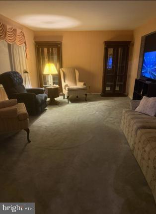 PALOMINO FARMS - Residential