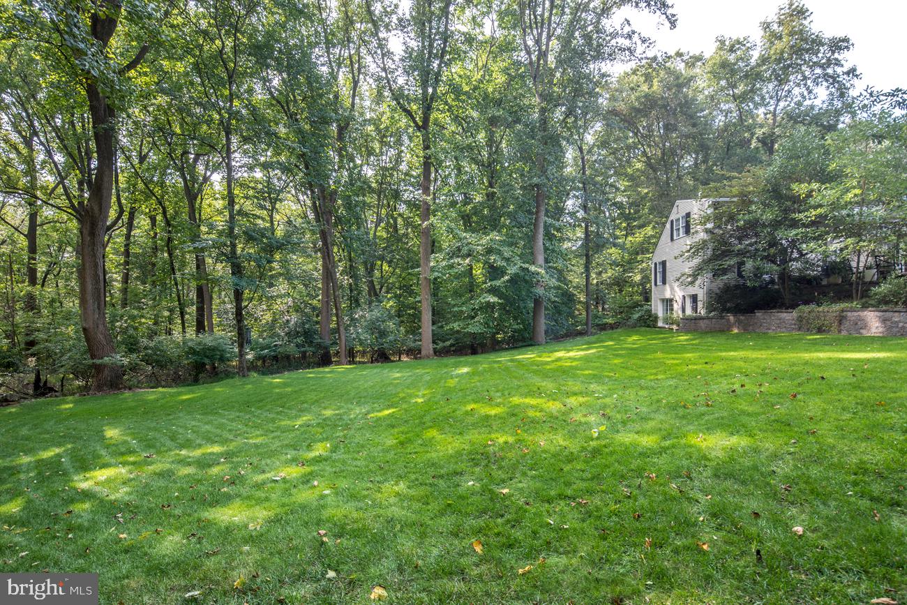 RADNOR HUNT - Residential
