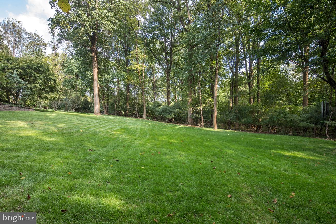 RADNOR HUNT - Residential