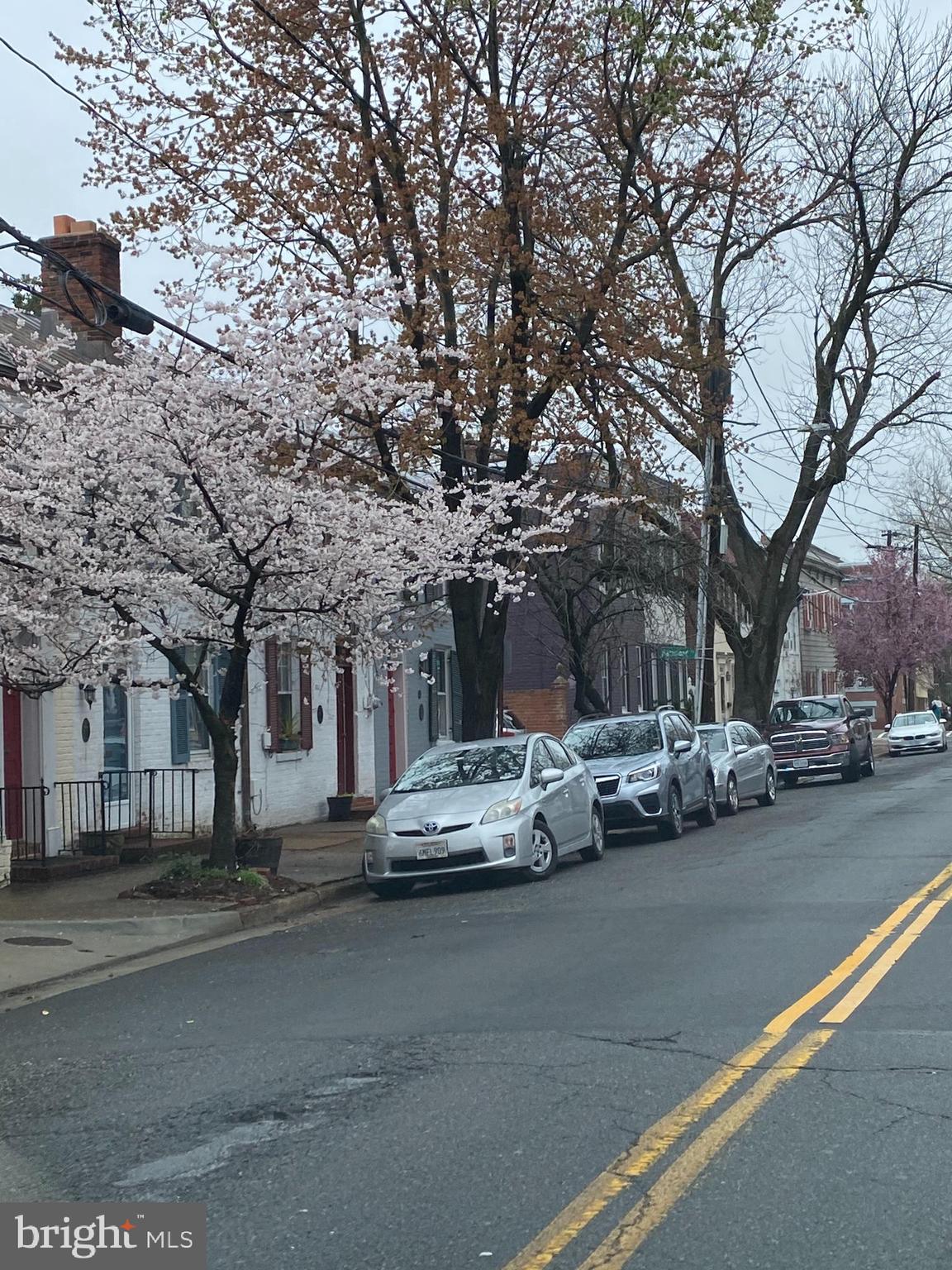 OLD TOWN HISTORIC - Residential