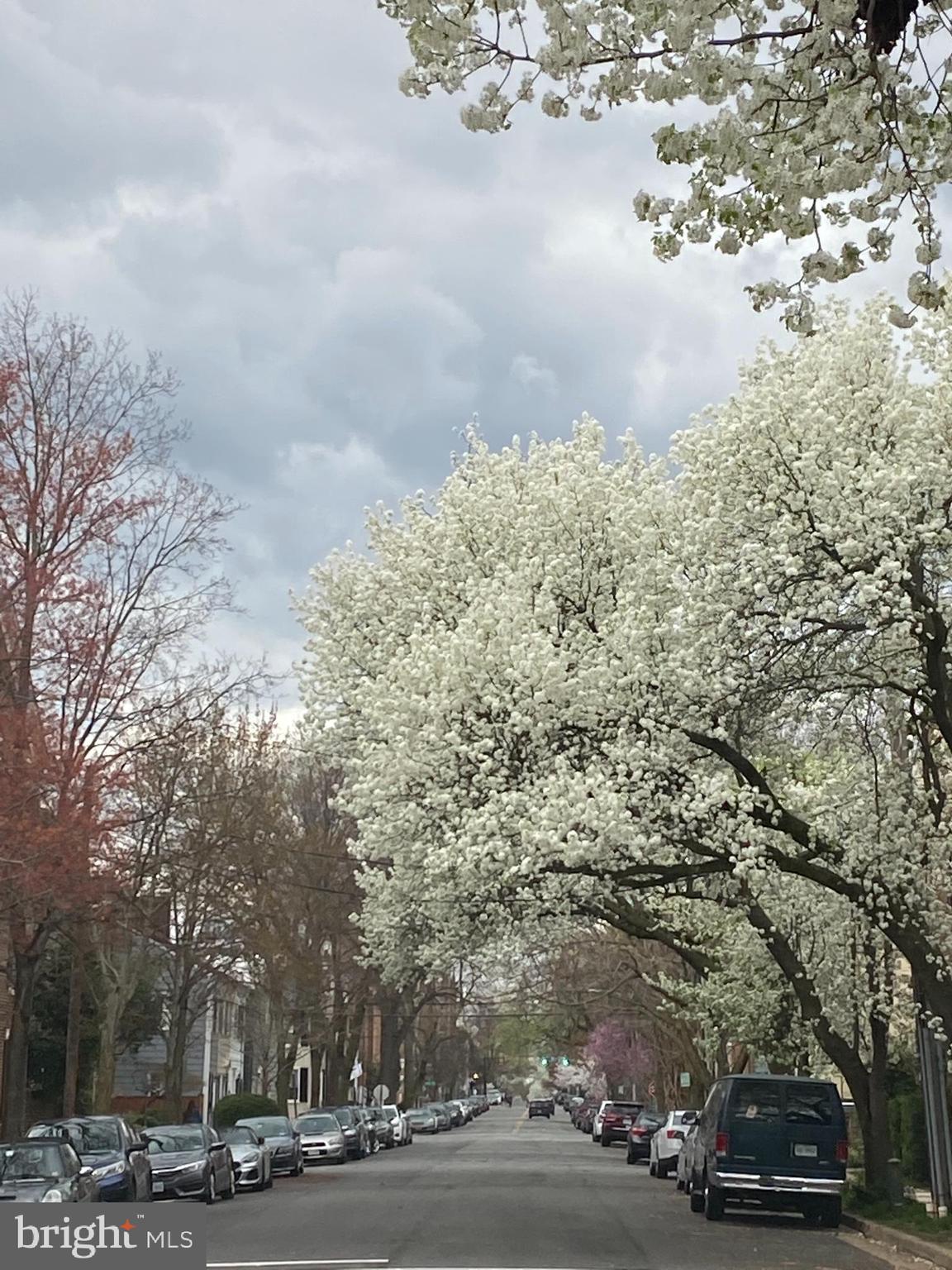 OLD TOWN HISTORIC - Residential