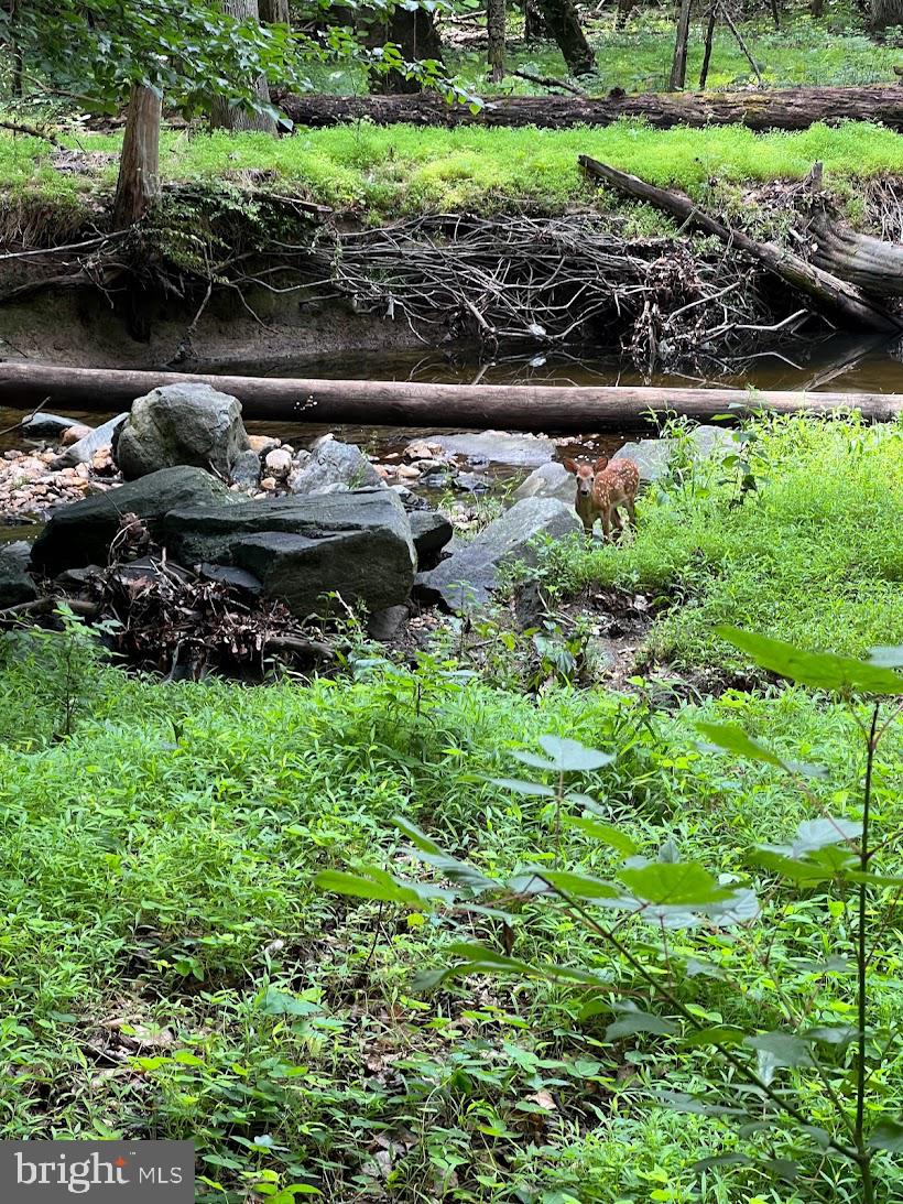 ROCK CREEK MANOR - Residential