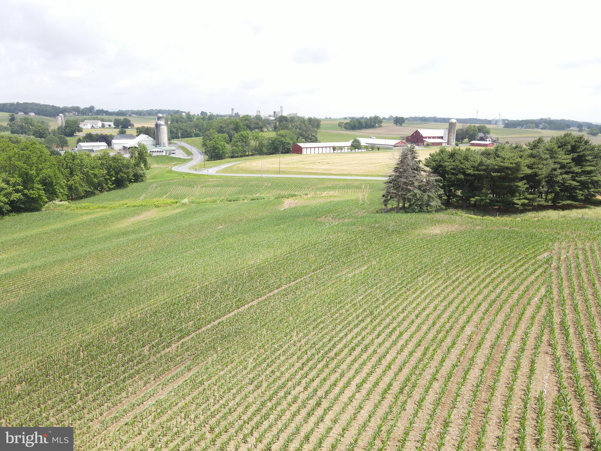 NONE AVAILABLE - Farm