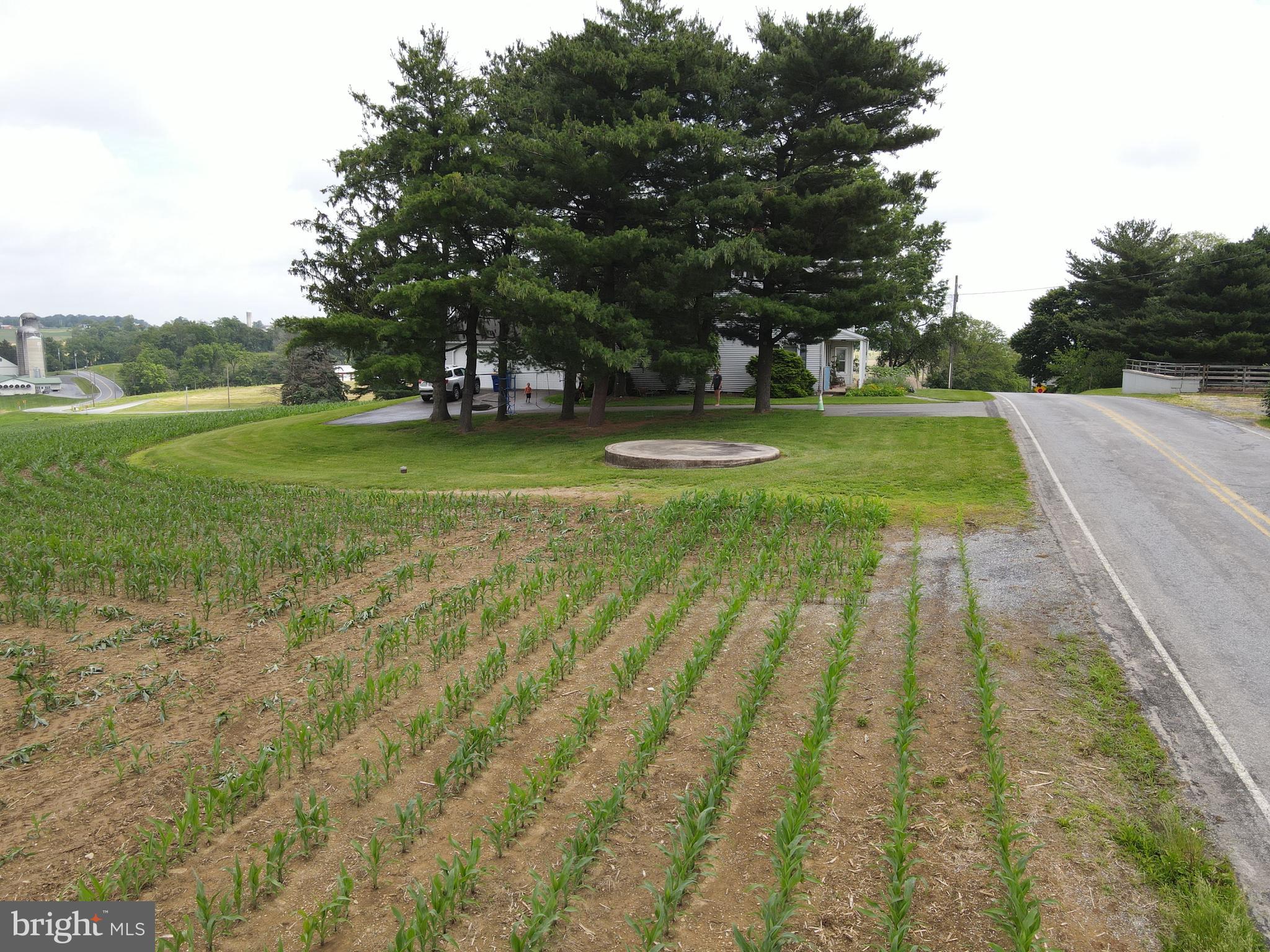 NONE AVAILABLE - Farm