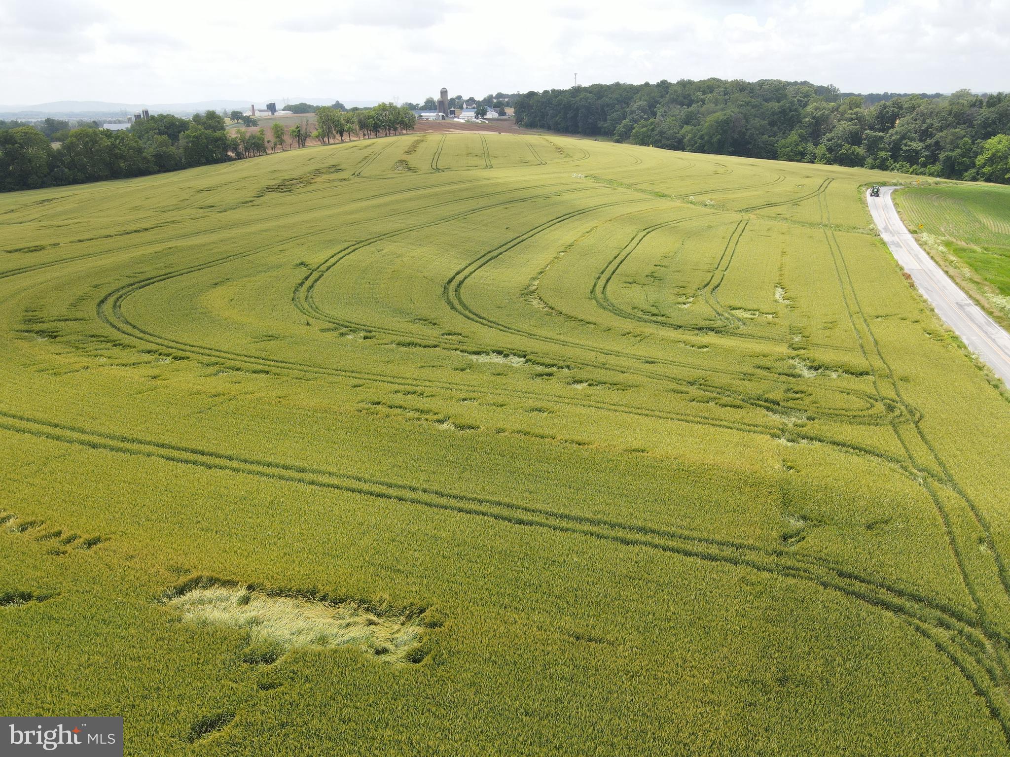 NONE AVAILABLE - Farm