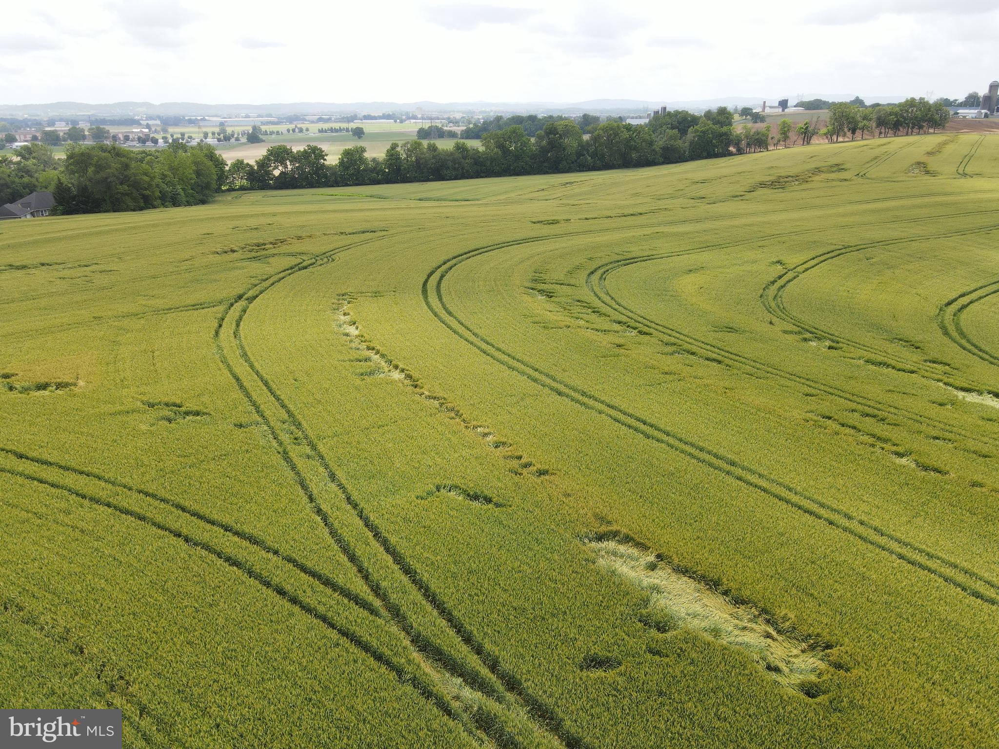 NONE AVAILABLE - Farm