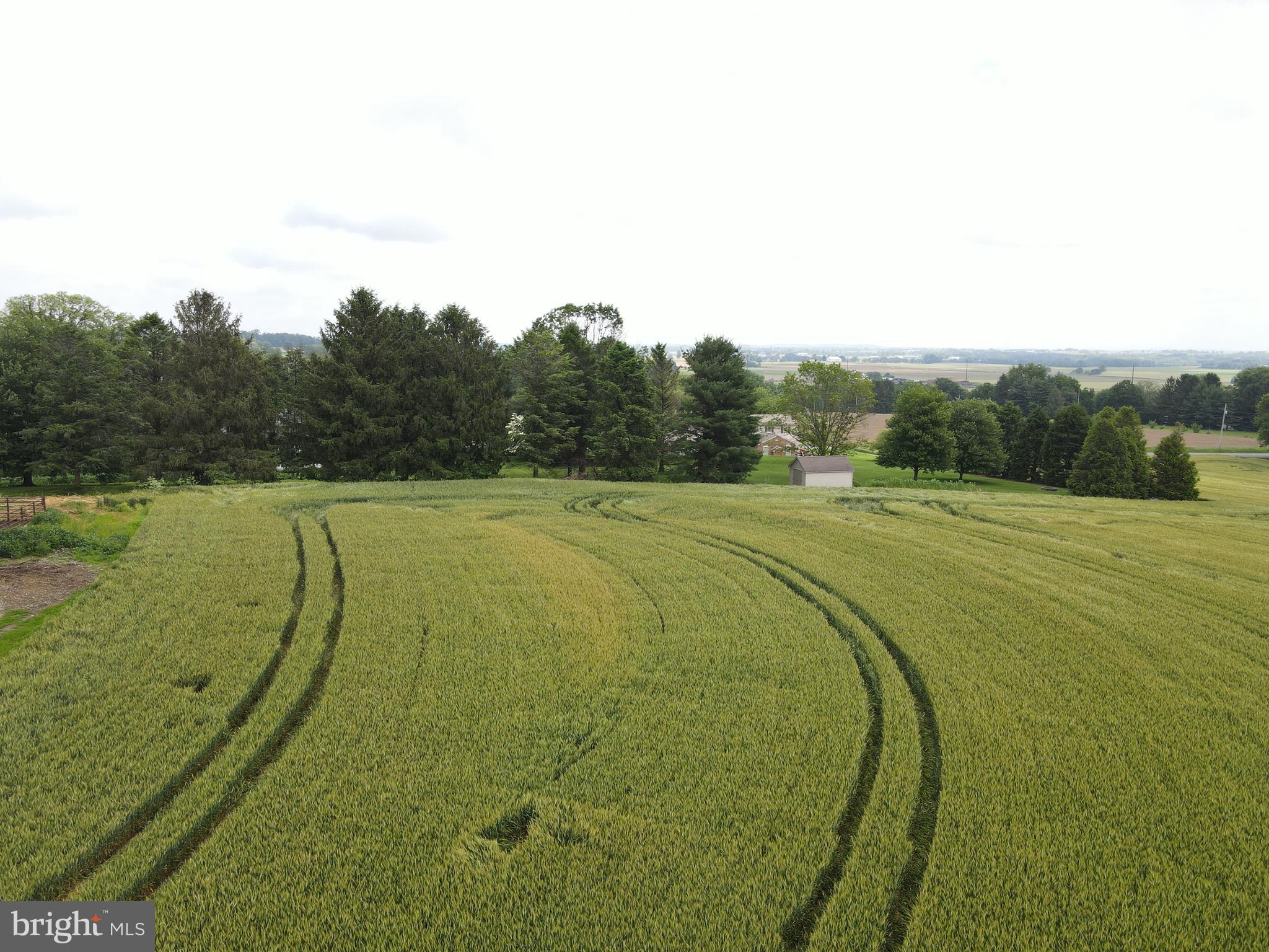 NONE AVAILABLE - Farm