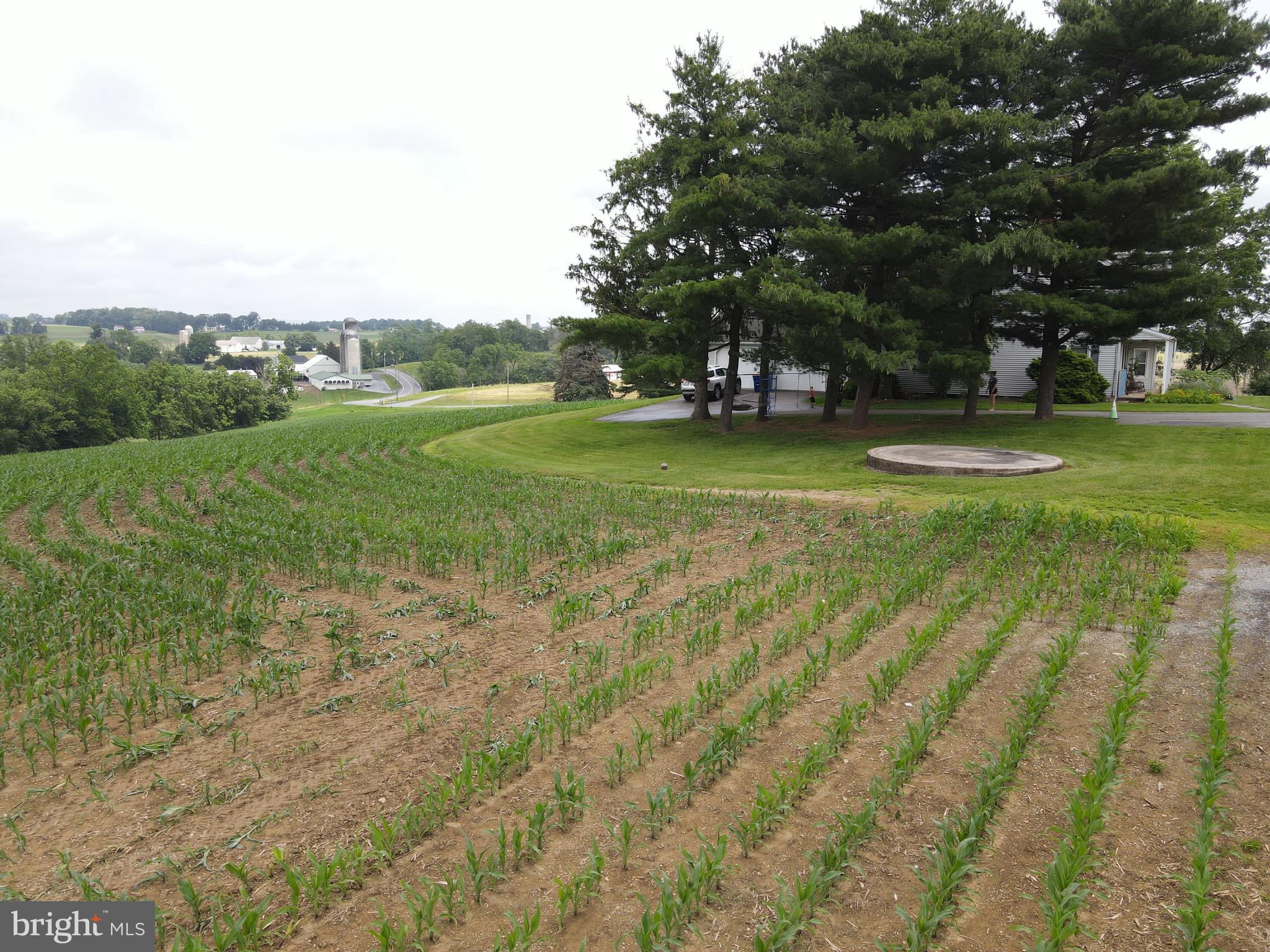 NONE AVAILABLE - Farm