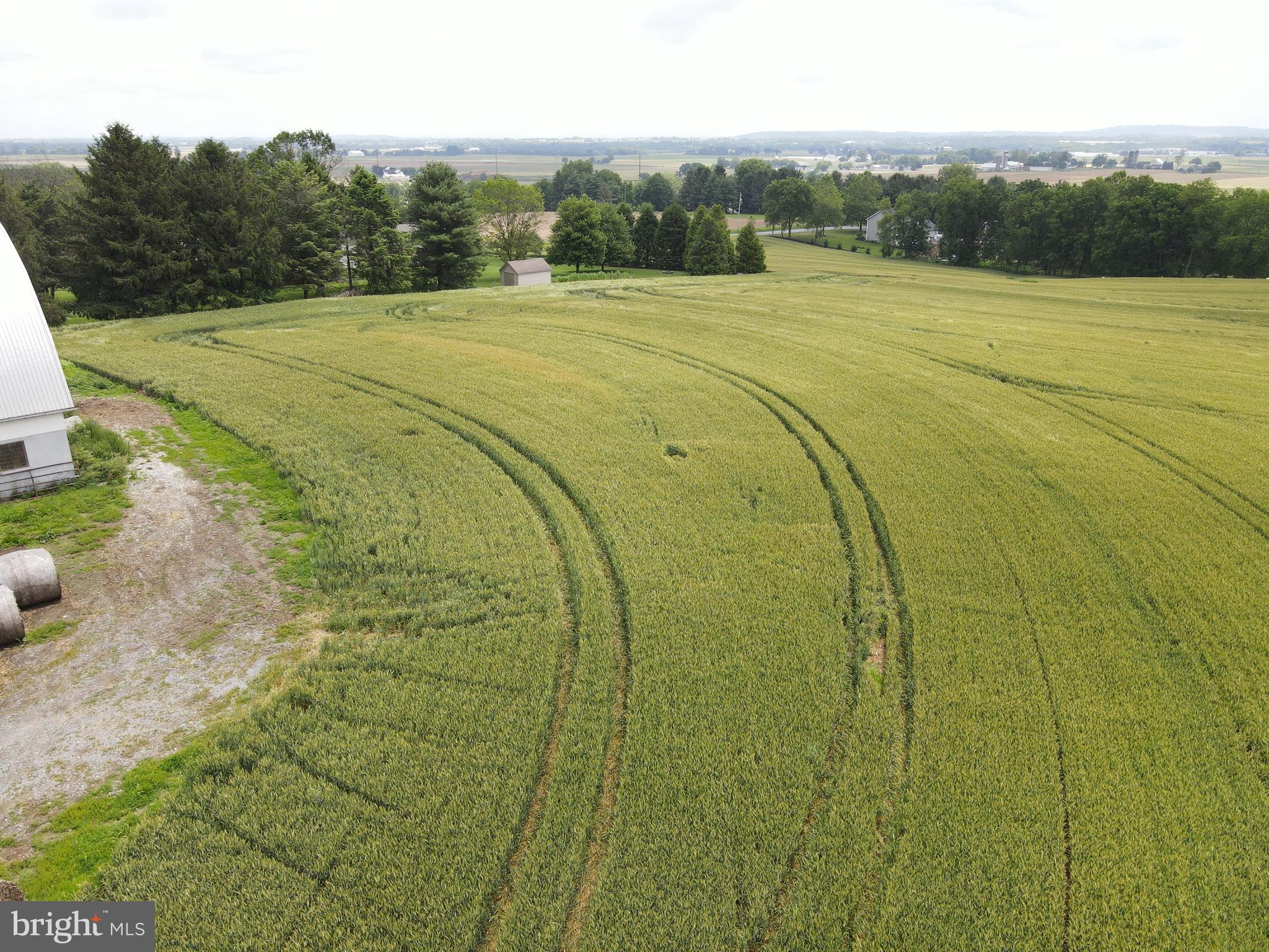 NONE AVAILABLE - Farm