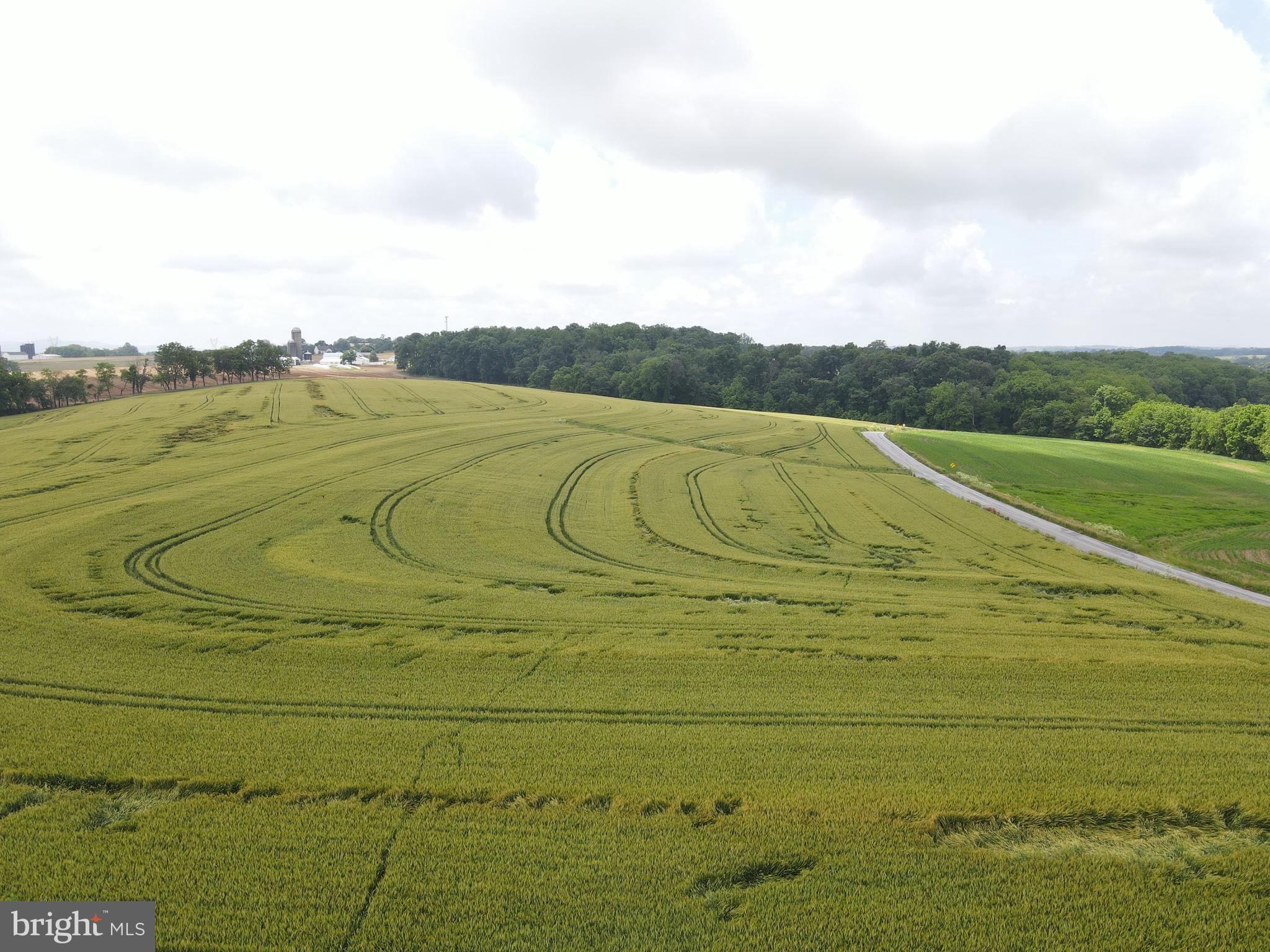 NONE AVAILABLE - Farm