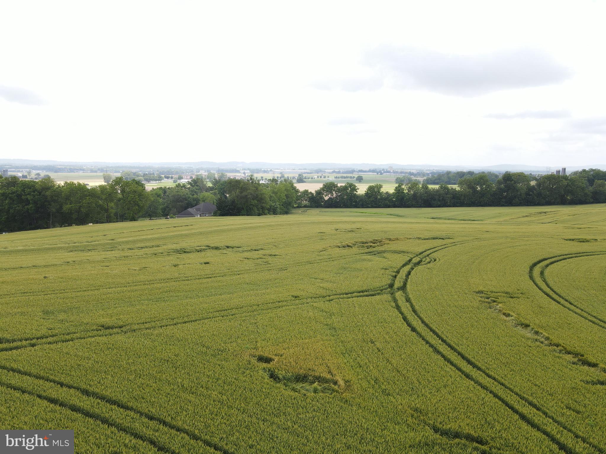 NONE AVAILABLE - Farm