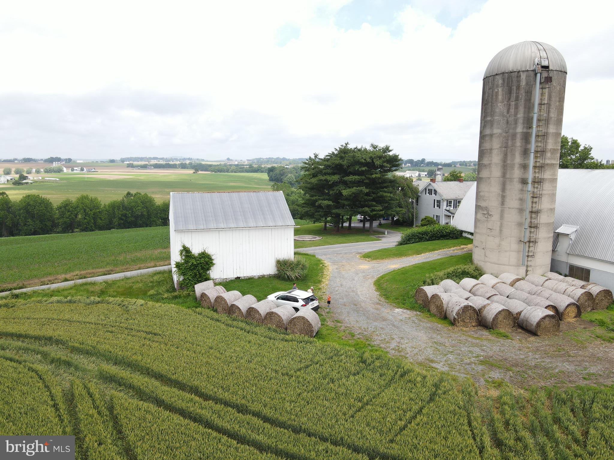 NONE AVAILABLE - Farm