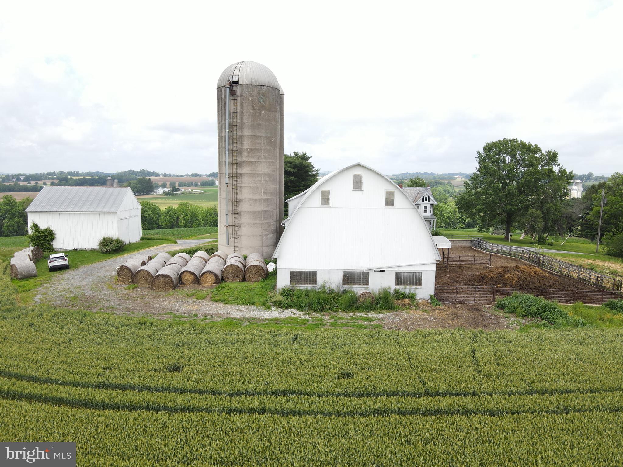 NONE AVAILABLE - Farm