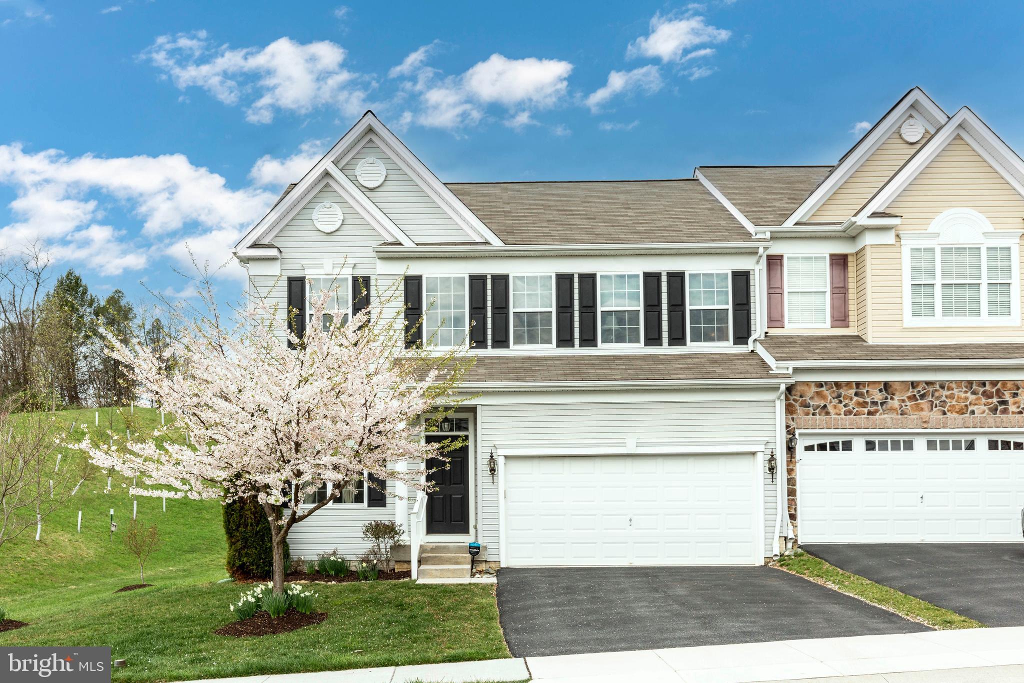 GREENVALE MEWS - Residential