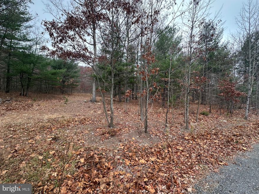 Location, location!!! Check out this great building lot located off of 522! Conveniently located 5 mins to Cacapon state park and about 10 minutes to downtown Berkeley Springs. Property is located off a paved road that offers great access. Property has been partially cleared for a building location and has a perc on file with the county for a septic system! Don't miss out on this opportunity, come and check it out today!