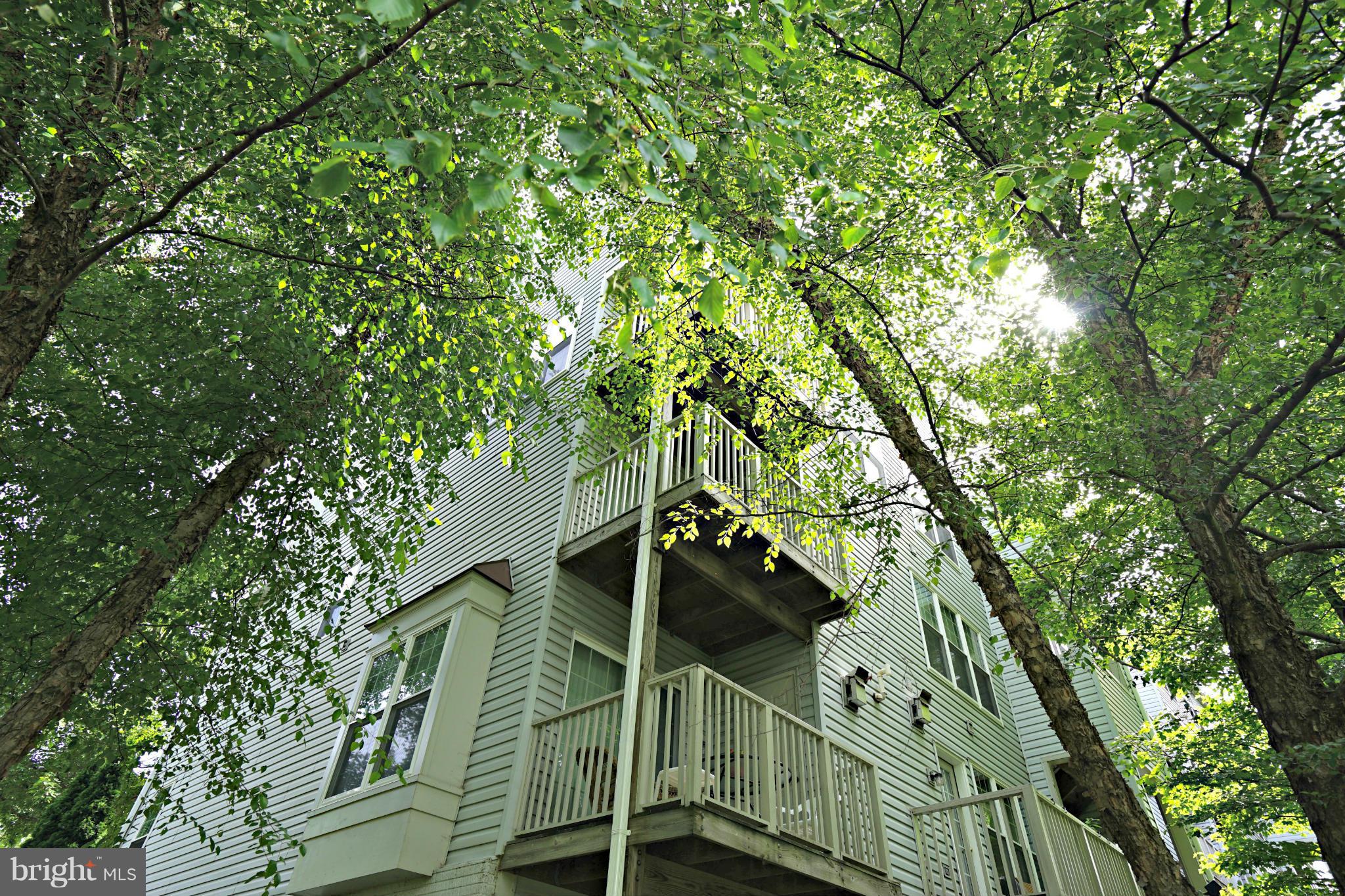 SYCAMORES AT VAN DORN - Residential