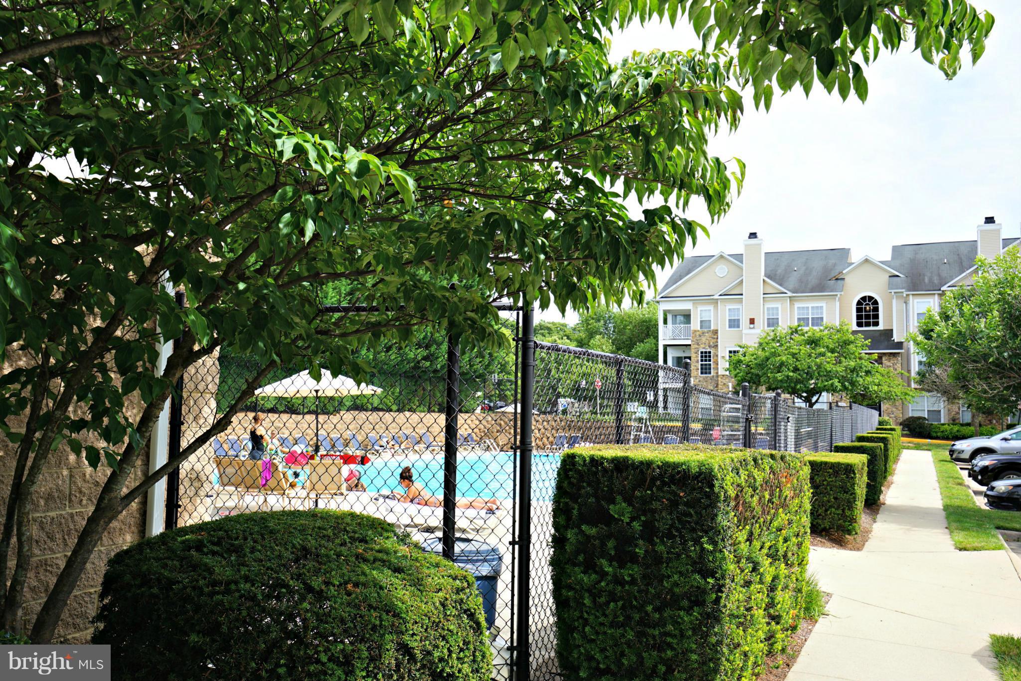 SYCAMORES AT VAN DORN - Residential