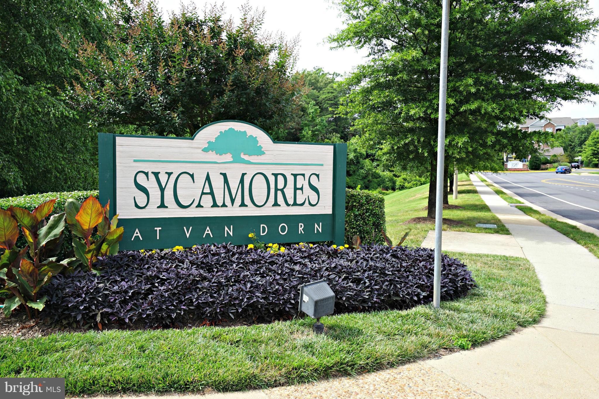 SYCAMORES AT VAN DORN - Residential
