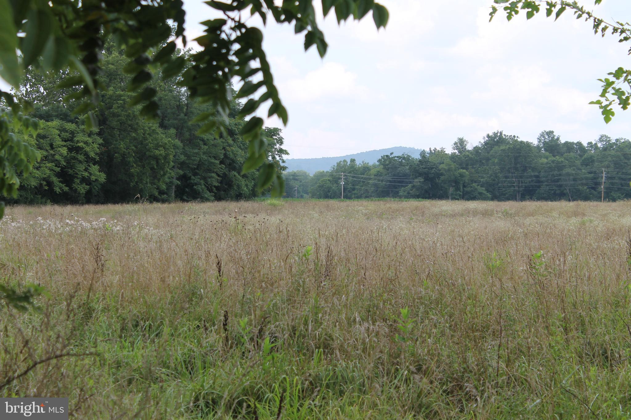 41 VALLEY VIEW TRAIL
