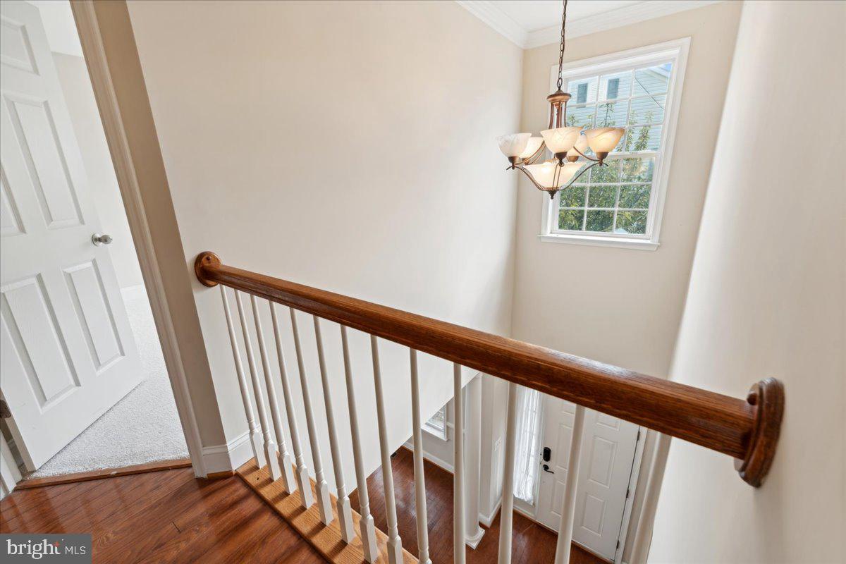 AGRICOPIA - Residential